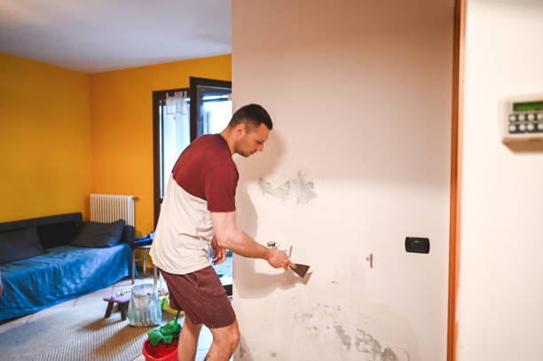 Best Emergency Mold Remediation in Poplar Bluff, MO